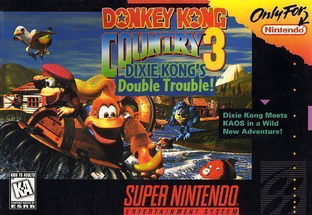 Dixie Kong's Double Trouble